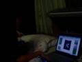 videos de scary tic tac toe game (linda)