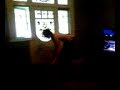 Guitar Hero TTFAF Reaction