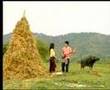 Pleng Ruk Rim Fung Khong เพลงรักริมฝั่งโขง