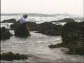 Cooking and Fishing at the Beach, Seafood recipe