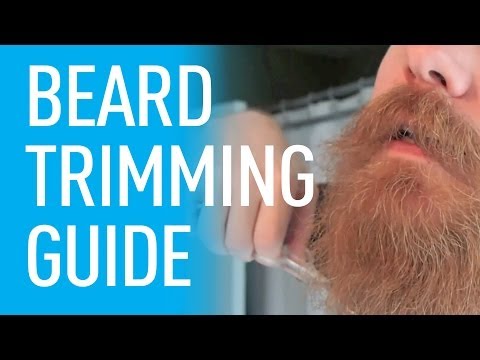 how to trim and shape your beard