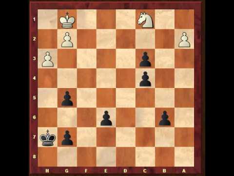 chess knight