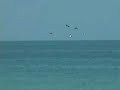 South Beach, Florida for YouTube Freezebabies