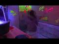 videos de éléctro zensation by frenzy