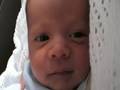 Anawin Bartholomew - Day 19