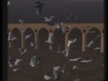 Eurythmy (1989)