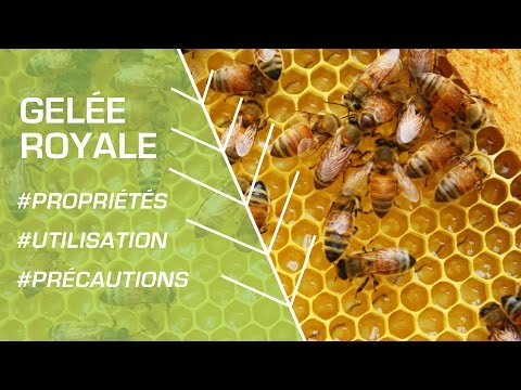 Comment utiliser la gelée royale ? - Phytothérapie