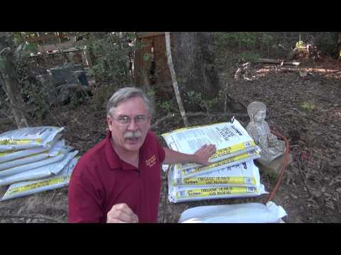 how to fertilize magnolia trees texas