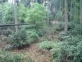 George on ZipLine Thetford Forest GoApe 07.05.07