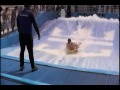 Flow Rider 2007