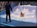 Flow Rider 2007