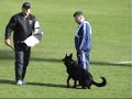 Sientje´s Black Hairy sm-08
