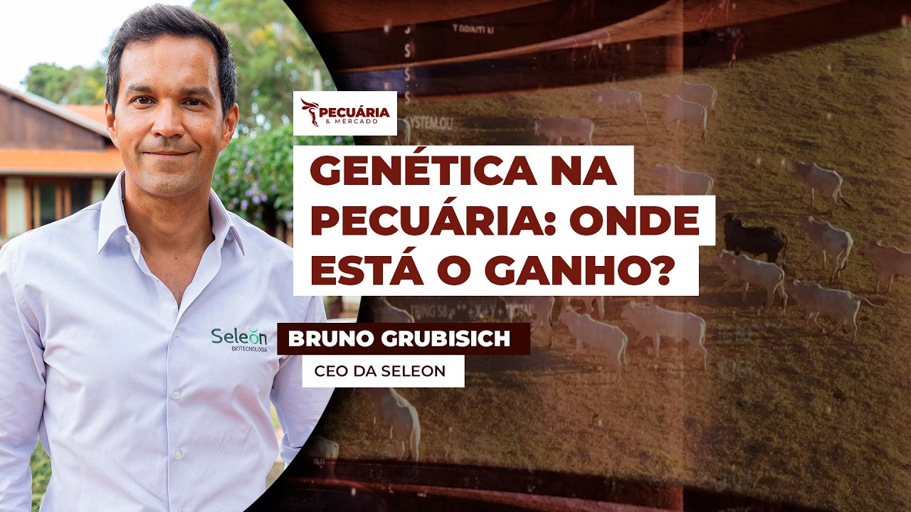 Genética bovina avança no Brasil e amplia o uso da inseminação no campo