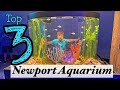 Hotels Near Cincinnati Zoo And Newport Aquarium