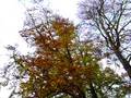 Charming autumn`s scenery