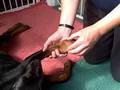 Shin Splint Causes