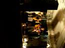 Awesome Slovene Band, Preseren Square