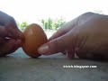 Balancing Eggs on Dragon Boat Festival Balancing Eggs on Dragon Boat Festival