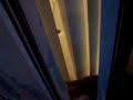 Cat tries to get Outside