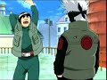 Real Ninjas Real Ninjas
