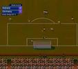Sensible Soccer