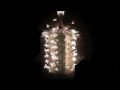 2010_101_firework