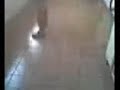 rebolation...by:fernnN(home\