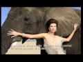 Joe McNally Photography- Nikon D3 Promo