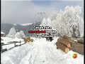 Apuseni Mountains, Romania -Two white horses & a slee