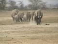 videos de Africa: The Motherland - Episode 4