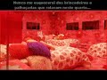 BBB8 - A Despedida?!? (Video Oficial)