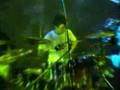 Kidz Against Kancer Concert, Act 2, Part 19 (FINAL)