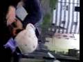 Picchia il barbone.3gp