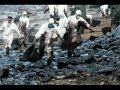 Conciencia Ambiental