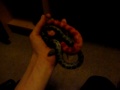 My corn snakes *READ DESCRIPTION*