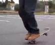 Flatland Skate Tricks ...
