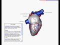 Agent-Based Annotation of Interactive 3D Visualizations Agent-Based Annotation of Interactive 3D Visualizations