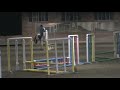 HHS AKF 8.15.2007 Joey 2 foot