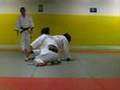 sfsu judo lisa vs mihoko from kokushikan