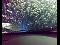 Car wash-pranje auta Car wash-pranje auta