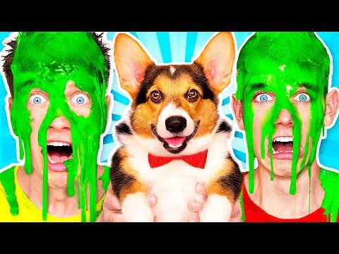 動画