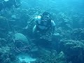 Mergulho
