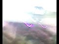 coral-barach-2.html
