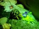 Little Star Charity, eating her supper