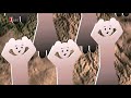 Die verrücktesten Tunguska-Theorien Die verrücktesten Tunguska-Theorien