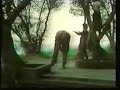 Way of the Warrior: Tai Chi, Xing Yi, Ba Gua (2/5)
