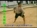 Chuo Jiao, the style of the Penetrating Foot, is an ancient style with roots in Wen Family Boxing. This was mentioned in General Qi Jiguang's book as one of the most effective systems of his times. The most popular Chuojiao is the branch merged with fanzi (Chuojiao Fanzi) coming from Li Country in Hebei. However, in recent months an old branch of the system (according to its practitioners) came into light. It is called Gu Zhizi (Ancient Zhizi- Ancient Chuojiao) and was passed to the Yin family in Suning County which kept it for centuries. The style shares theory very similar to Xinyi/Xingyi. Li Fuzhen, famous disciple of Che Yizhai, was so impressed by the system that he incorporated its elements into Che Style Xingyiquan and created Mandarin Ducks Kicks routine. This is apparently the first video material about this rare branch ever made public.  (thank you Jarek Szymanski for the description)