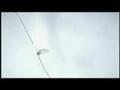 Blackrose - Penantian ( Original Version )