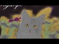 Cloudtail-Parents just don\