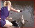 Blond Girl Trot Lining